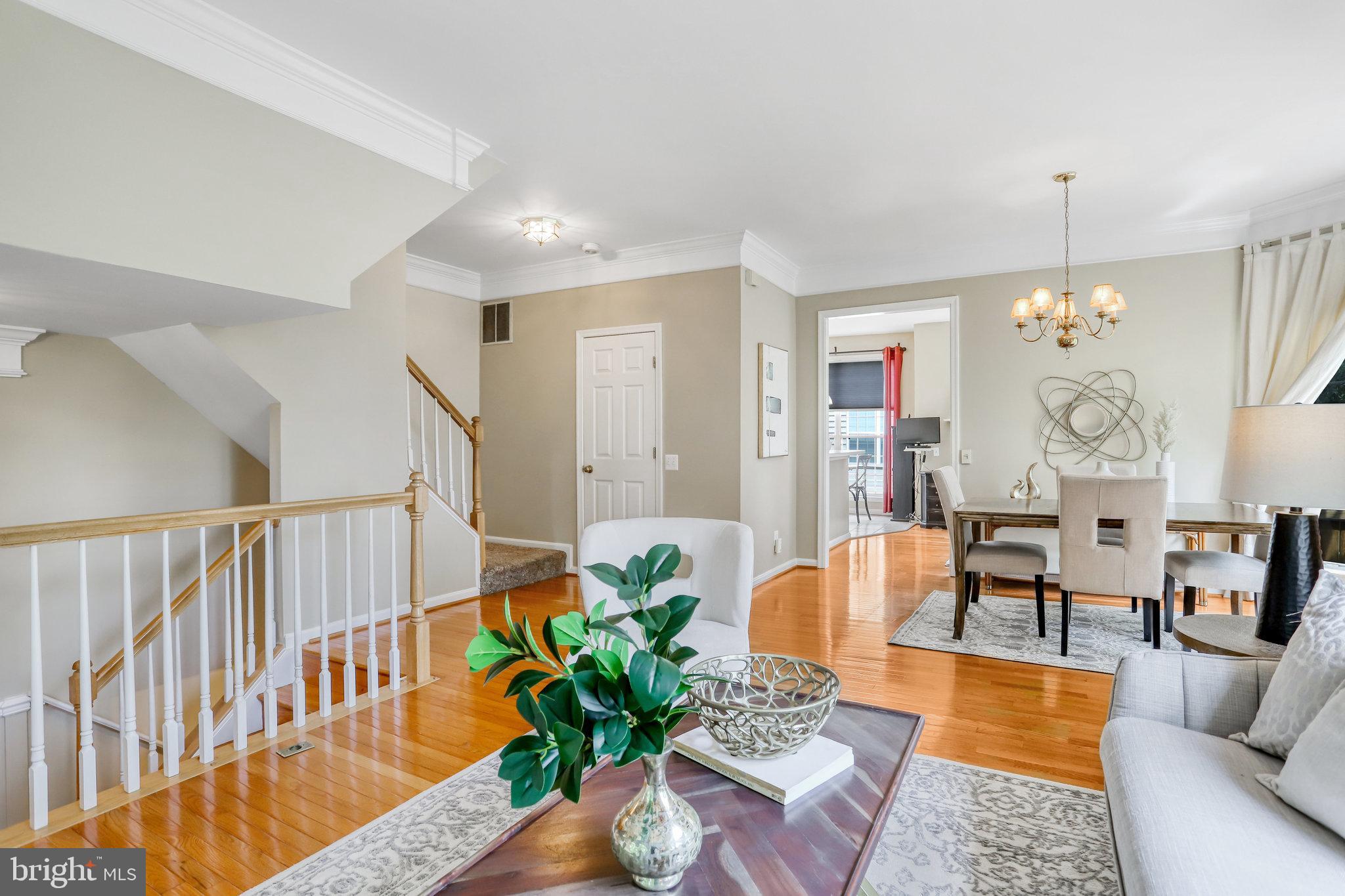 6001 Riddle Walk Alexandria, VA 22312 - Photo 82 of 85 Main Lvl - Modern Open Floor Plan 2