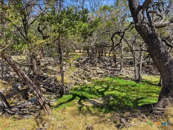 $725,000 | 5680 County Road 142, Gatesville, TX 76528
