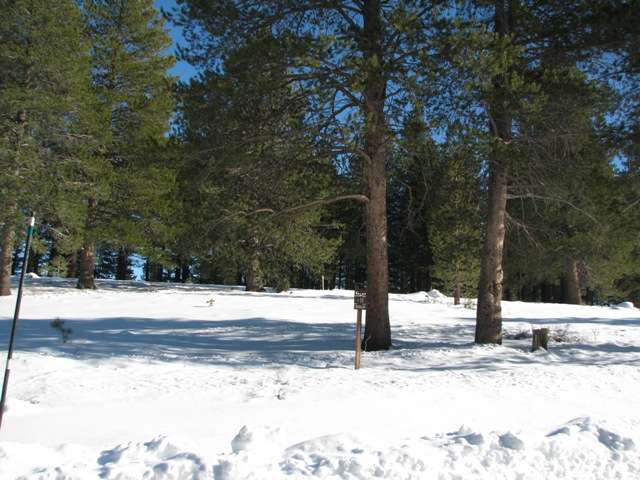 W-8 Ghirard Road Truckee, CA 96161 - Photo 1 of 1 Gallery Image 1