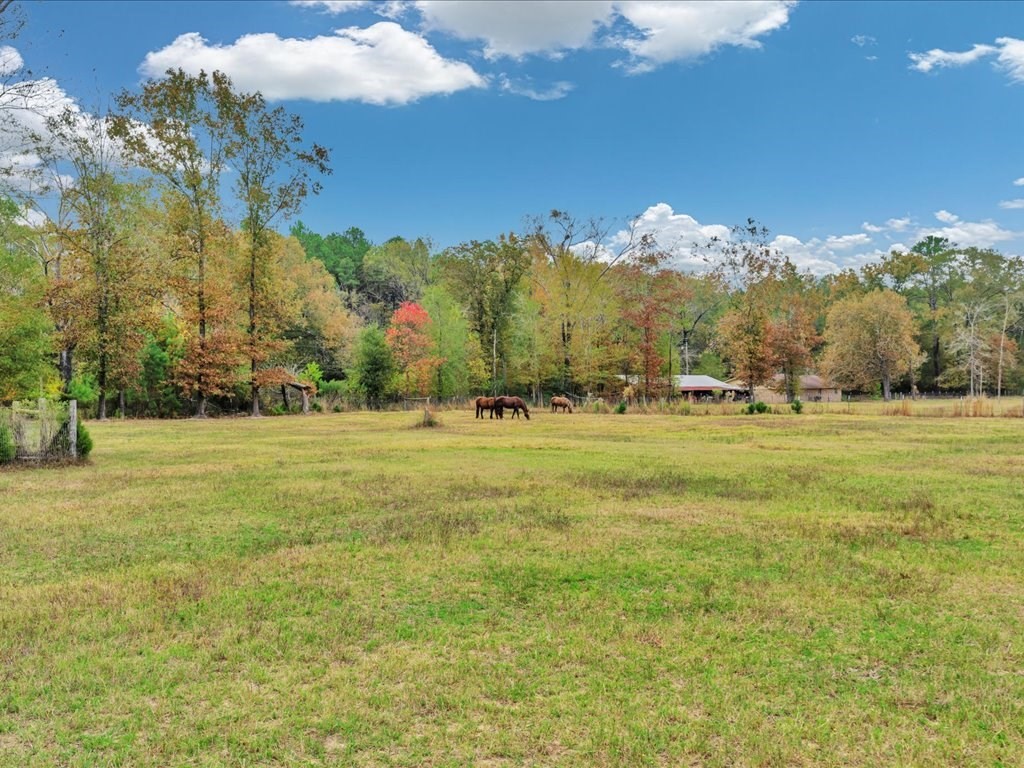 104 Wheeler Road Lufkin, TX 75901 - Photo 42 of 50 a view of grassy field
