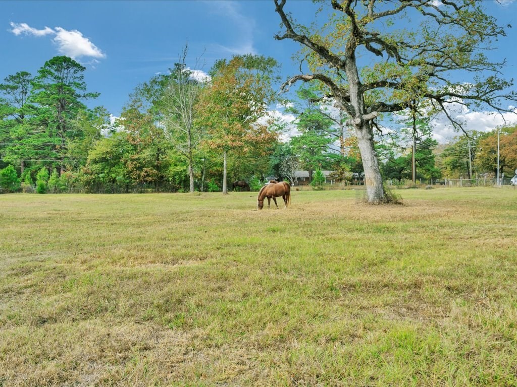 104 Wheeler Road Lufkin, TX 75901 - Photo 43 of 50 a backyard of a house with lots of green space