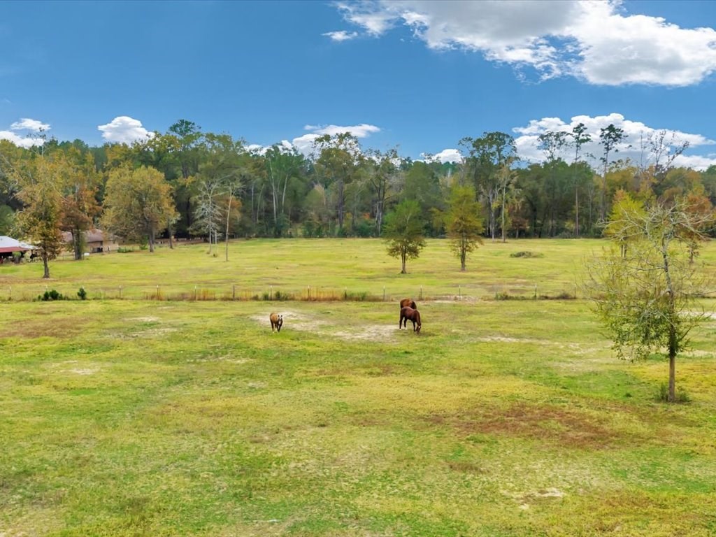 104 Wheeler Road Lufkin, TX 75901 - Photo 44 of 50