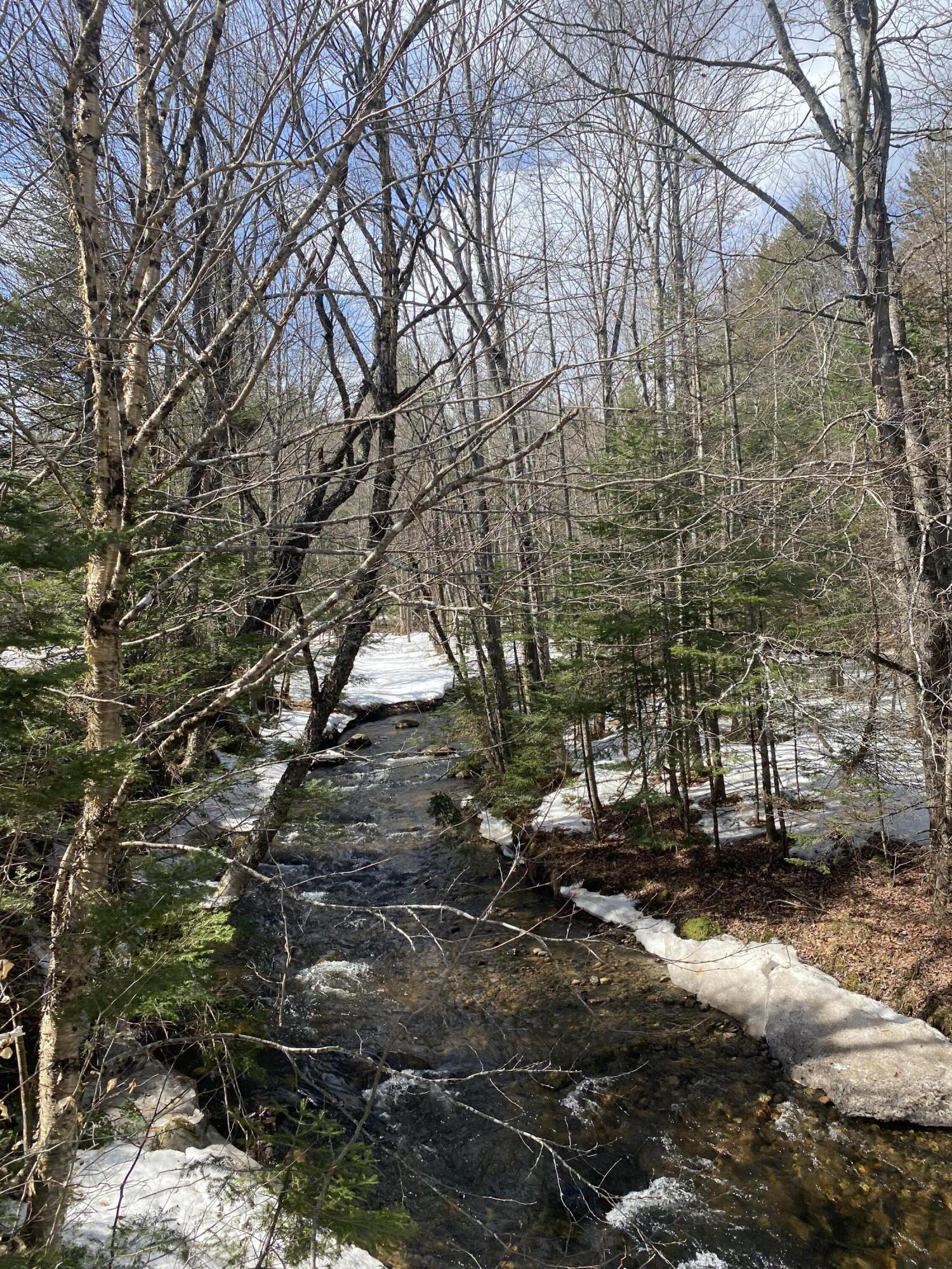 485 Milton Road Bryant Pond, ME 04219 - Photo 11 of 13 Brown Brook