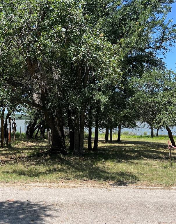 3430 Bounding Main Drive May, TX 76857 - Photo 2 of 5 a view of a yard