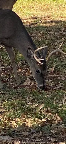 a view of a water from a balcony