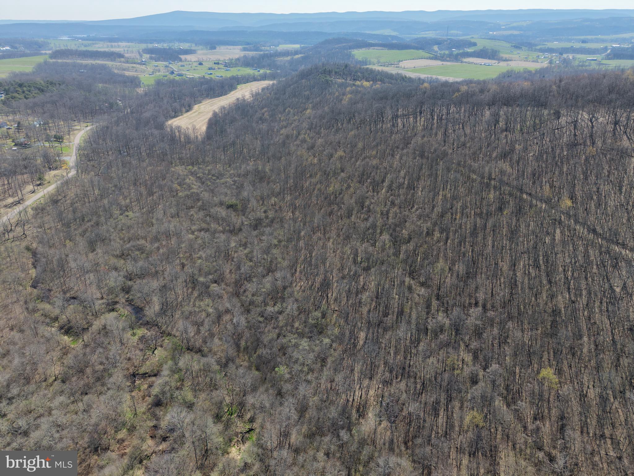 129-acres Black Hollow Road Schellsburg, PA 15559 - Photo 20 of 72 a view of a dry yard