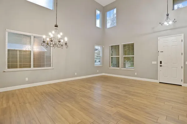 a view of a livingroom with wooden floor and a potted plant