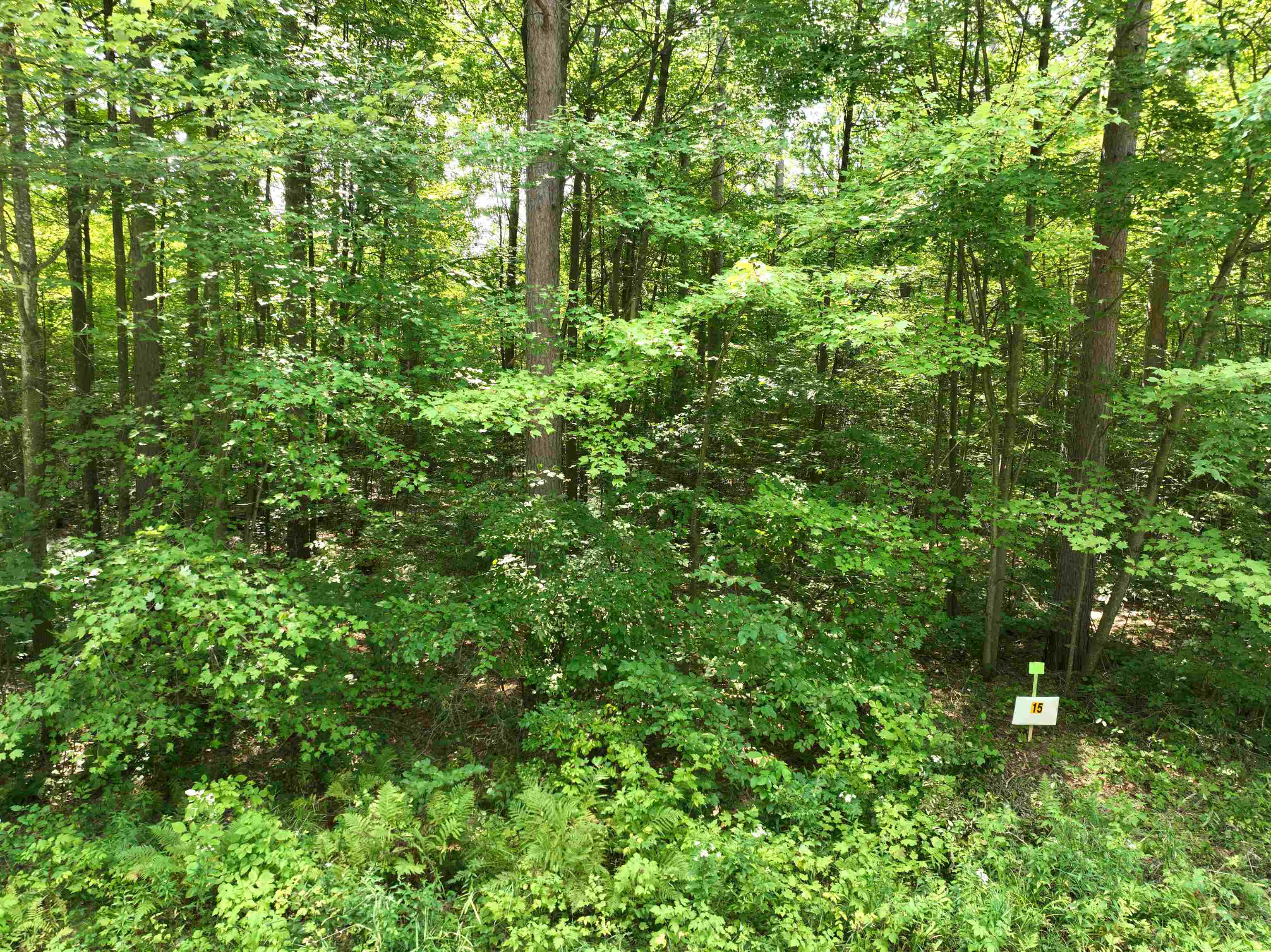 Lot 15 Burma Road Mosinee, WI 54455 - Photo 7 of 8 Gallery Image 7