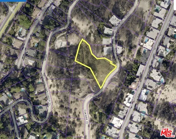 a view of a garden with plants