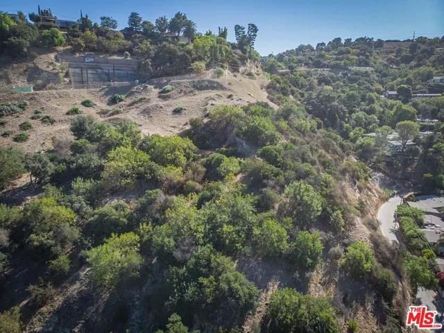 a view of a yard with plants