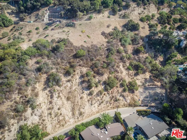 a view of a dry yard with lots of trees