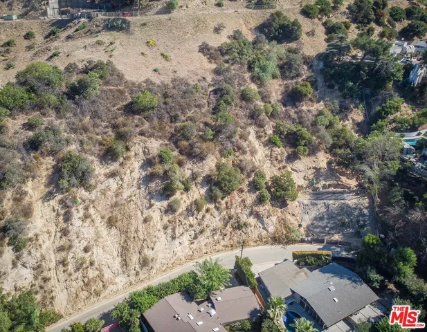 a view of a large yard with lots of bushes