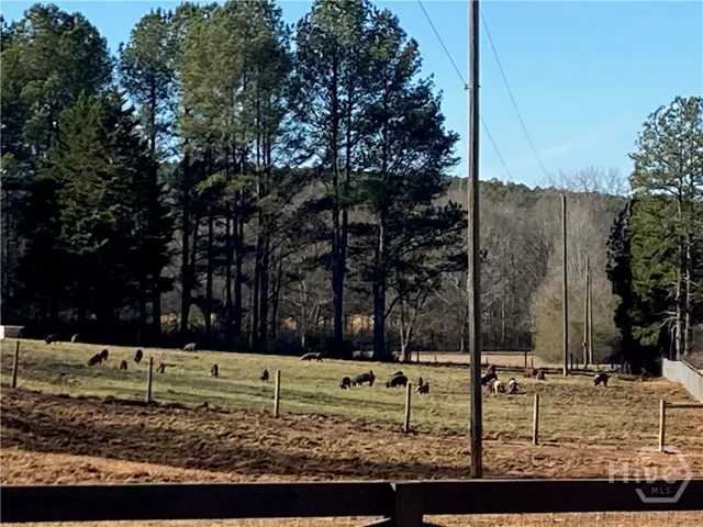 $7,500 | 919 Arnold Bottoms Road, Comer, GA 30629