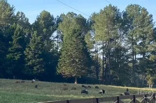 $7,500 | 919 Arnold Bottoms Road, Comer, GA 30629