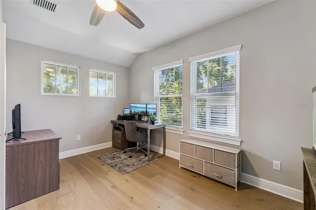 a view of a backyard with plants and a large tree