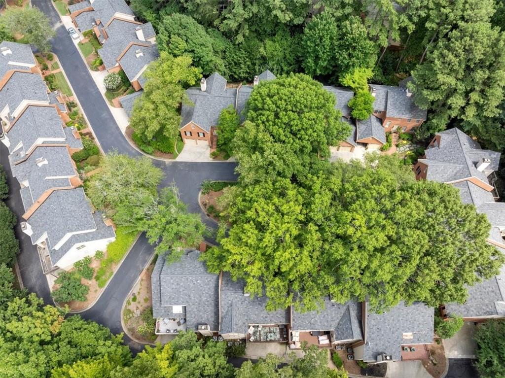 40 Ivy Chase Northeast Atlanta, GA 30342 - Photo 35 of 40 an aerial view of a house with a yard and a large tree