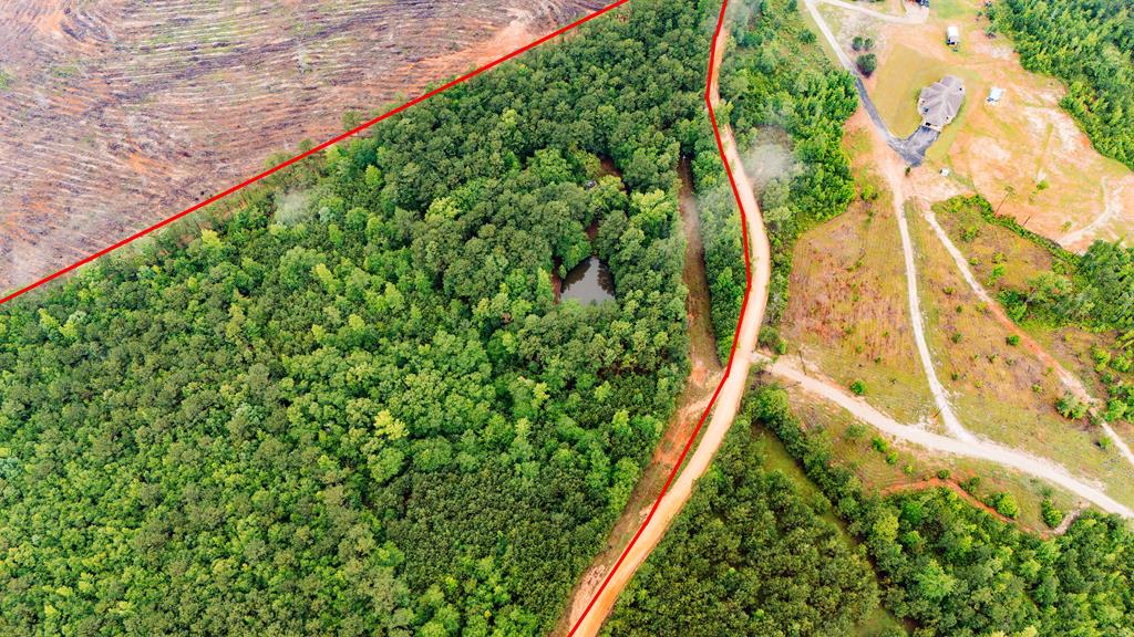 53 Robinson Road Seale, AL 36875 - Photo 6 of 15