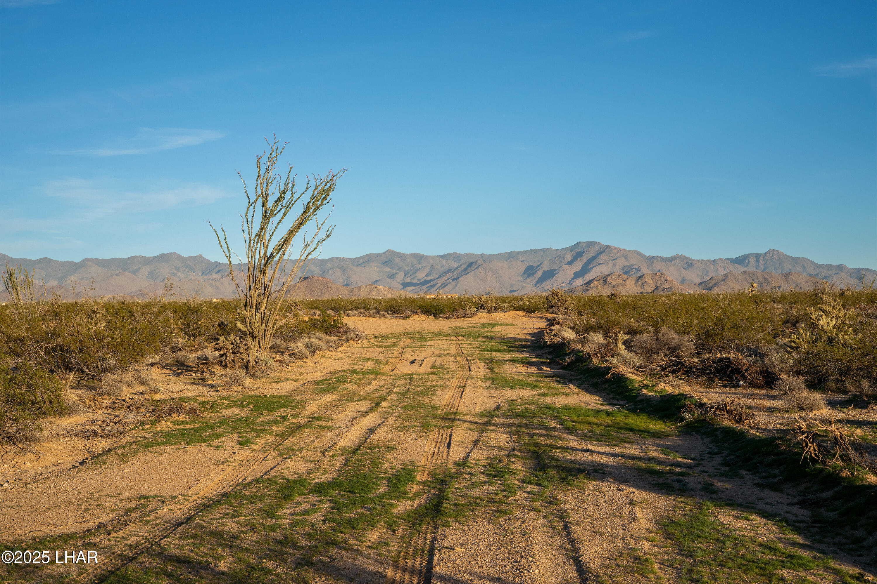 Lot 29 South Carmen Road Yucca, AZ 86438 - Photo 17 of 22 a view of an ocean