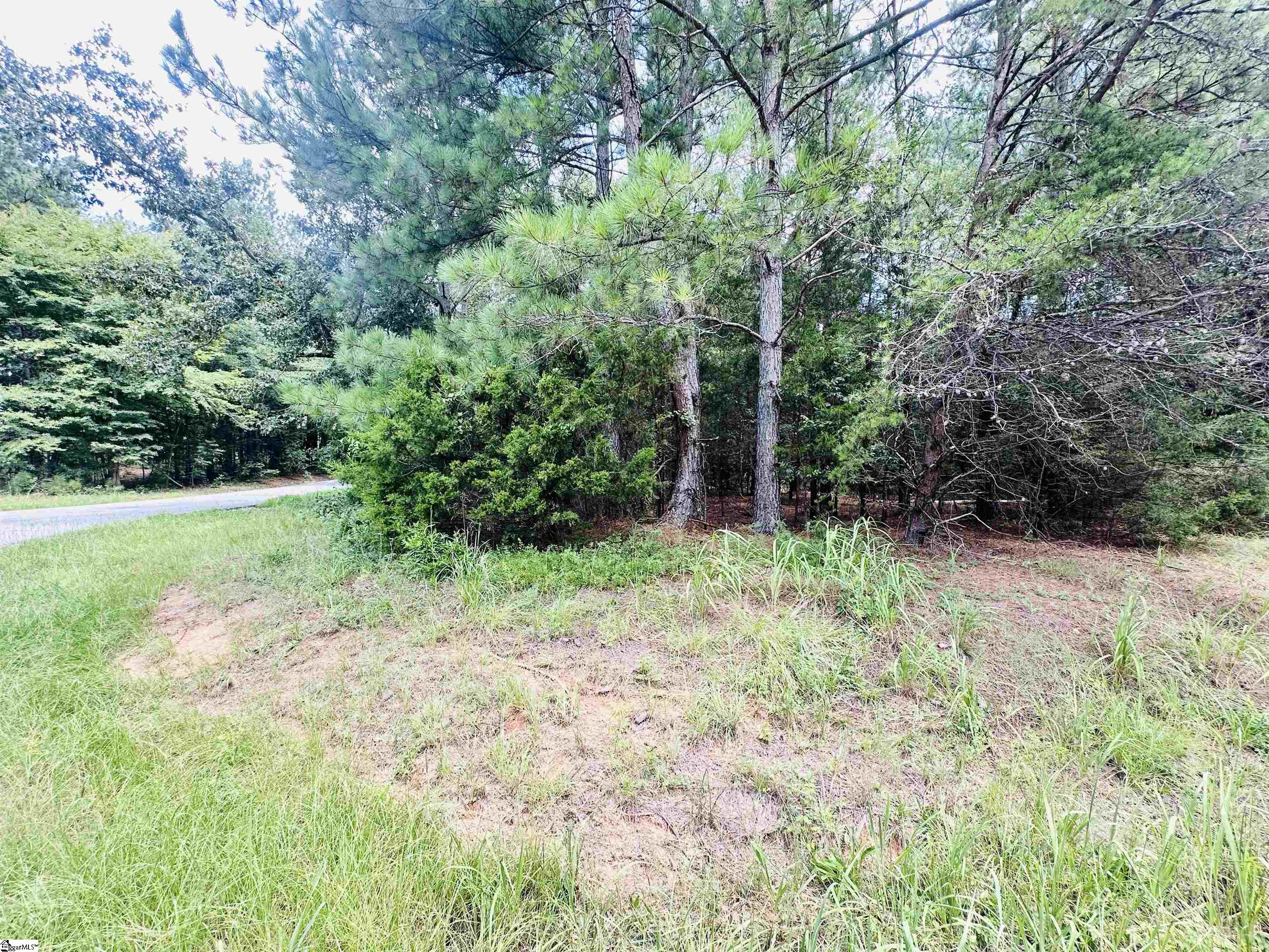 0 Metric Road Gray Court, SC 29645 - Photo 1 of 14 Gallery Image 1