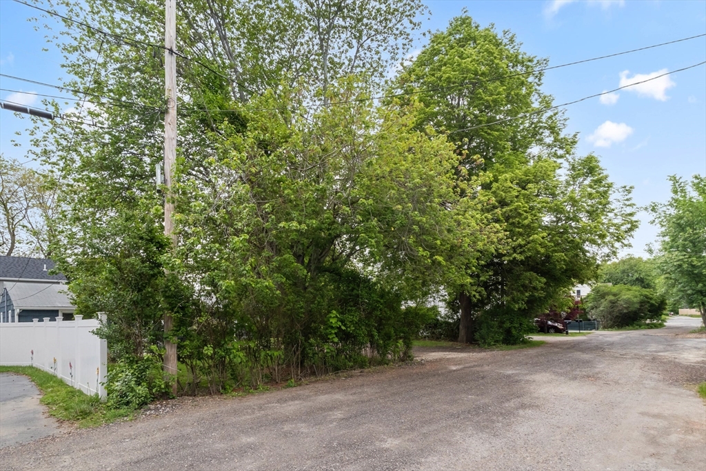5 Phoenix Street Worcester, MA 01604 - Photo 28 of 32 a view of a field with plants and trees