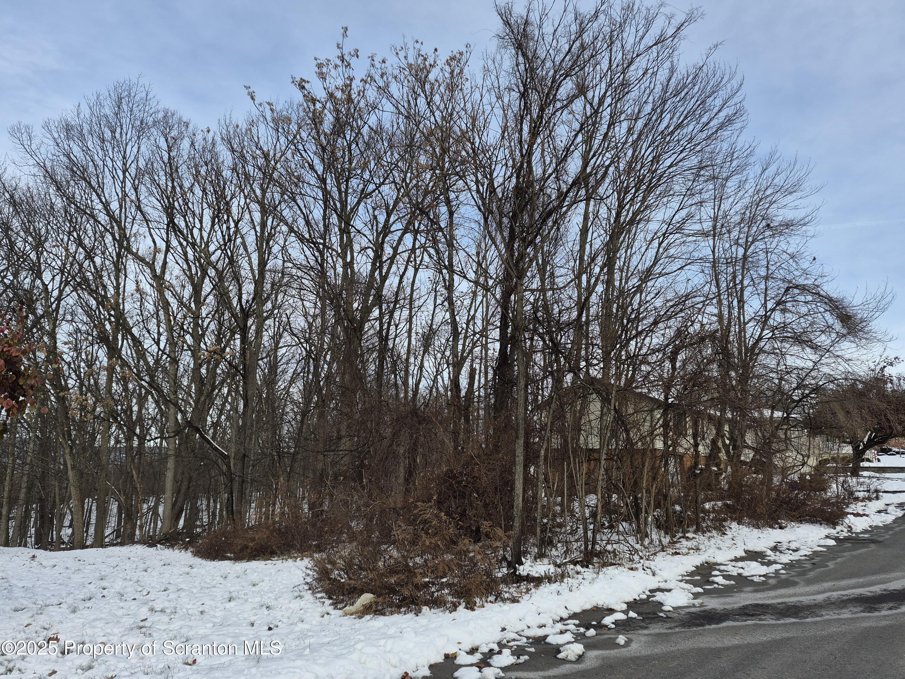 Froude Avenue Scranton, PA 18505 - Photo 1 of 3 a view of outdoor space and yard