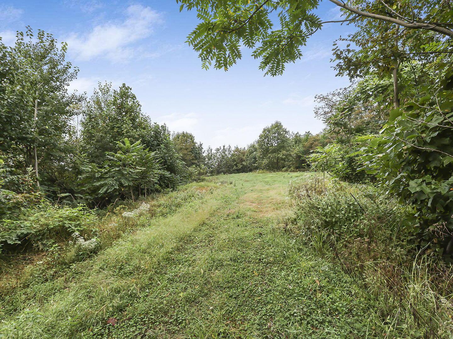 0 Cr E Road Pomeroy, OH 45769 - Photo 30 of 82 38-web-or-mls-0V3A7081