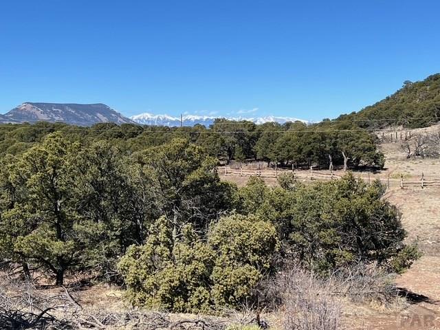 3 B Majors Ranch Road Walsenburg, CO 81089 - Photo 9 of 54