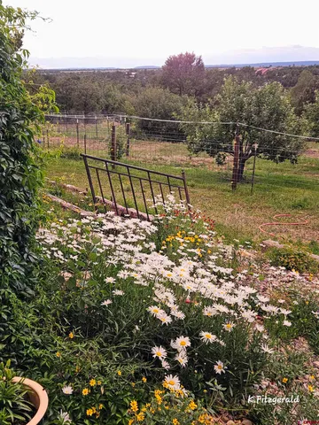 a view of a street with a tree