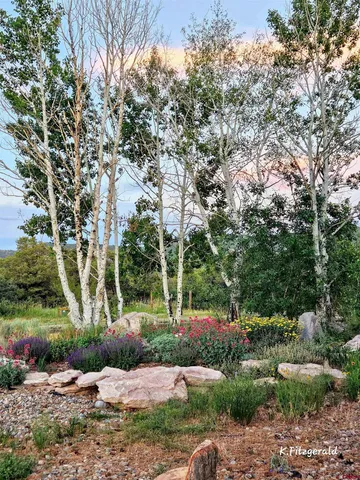 $960,000 | 511 Miramonte Drive, Hesperus, CO 81326