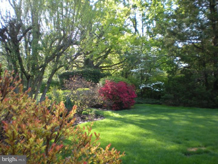 325 Candlewood Road Broomall, PA 19008 - Photo 2 of 19 Exterior Back