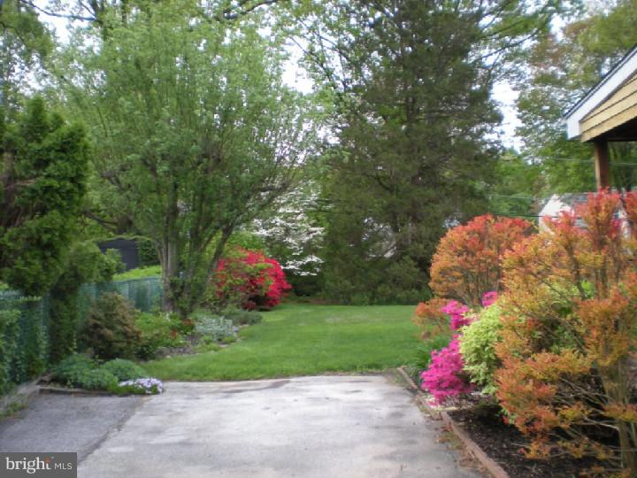 325 Candlewood Road Broomall, PA 19008 - Photo 10 of 19 Back Yard