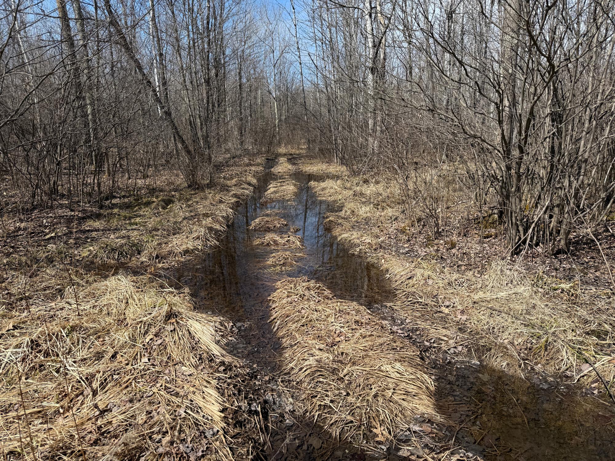 N8570 Faust Road Tomahawk, WI 54487 - Photo 39 of 39 Gallery Image 39