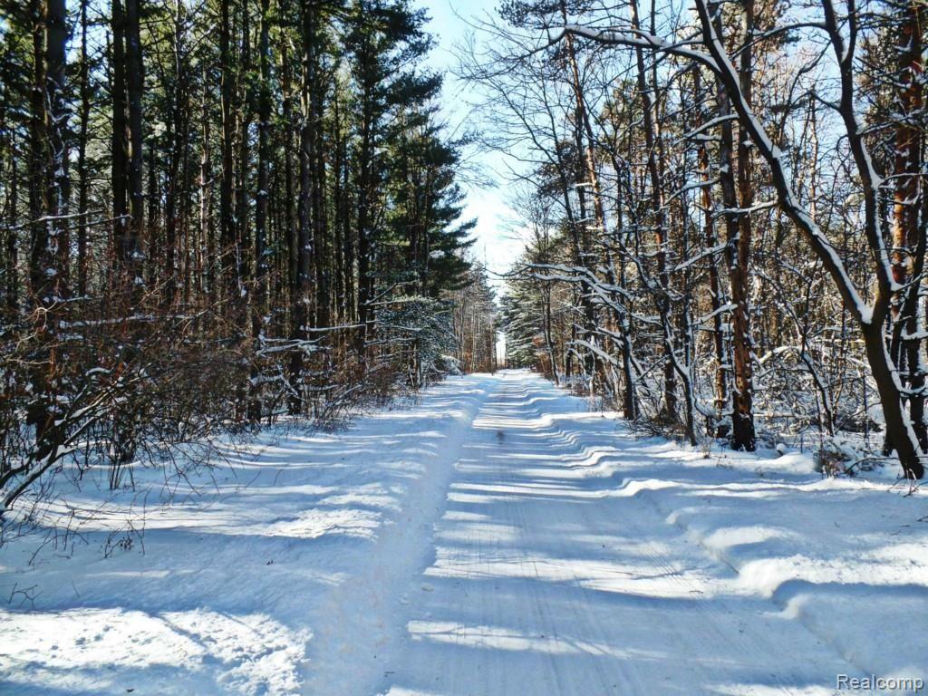 10345 South State Road Goodrich, MI 48438 - Photo 10 of 24 SAM_2248.jpg