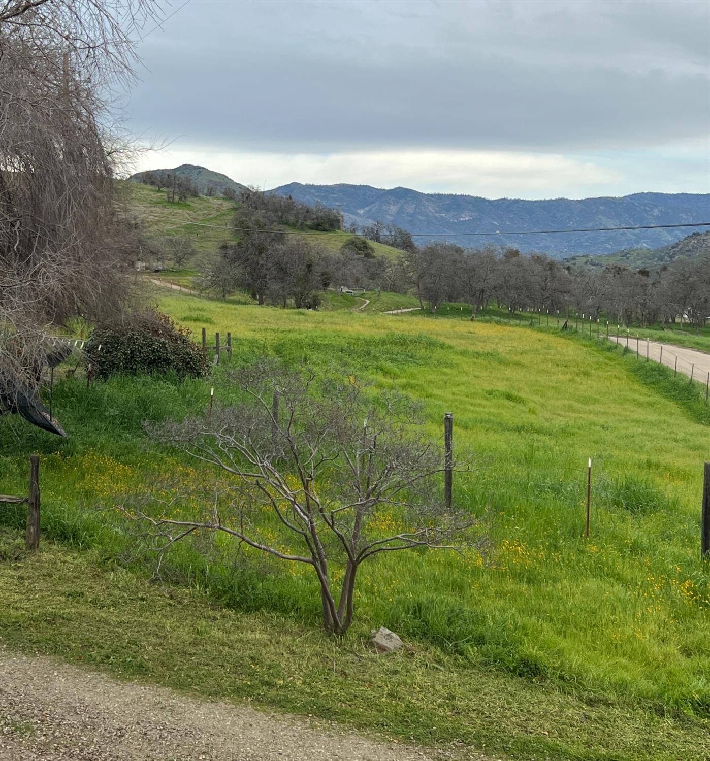 30284 Bear Mountain Road Squaw Valley, CA 93675 - Photo 54 of 62