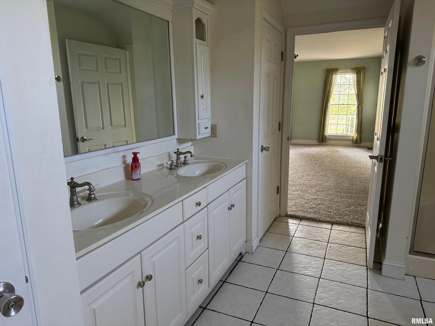 102 West North Street Benton, IL 62812 - Photo 30 of 56 a bathroom with a sink and a mirror