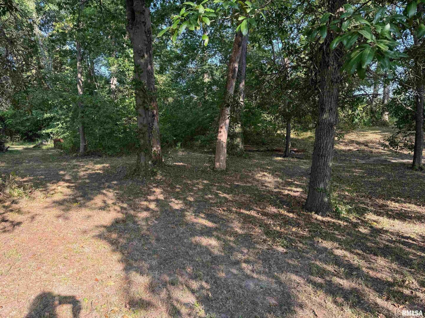 102 West North Street Benton, IL 62812 - Photo 50 of 56 a backyard of a house with lots of green space