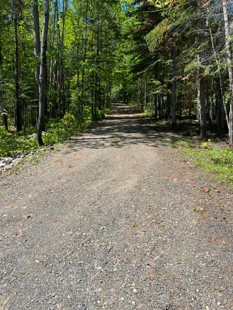 568 W Road Portage, ME 04768 - Photo 13 of 13 driveway1
