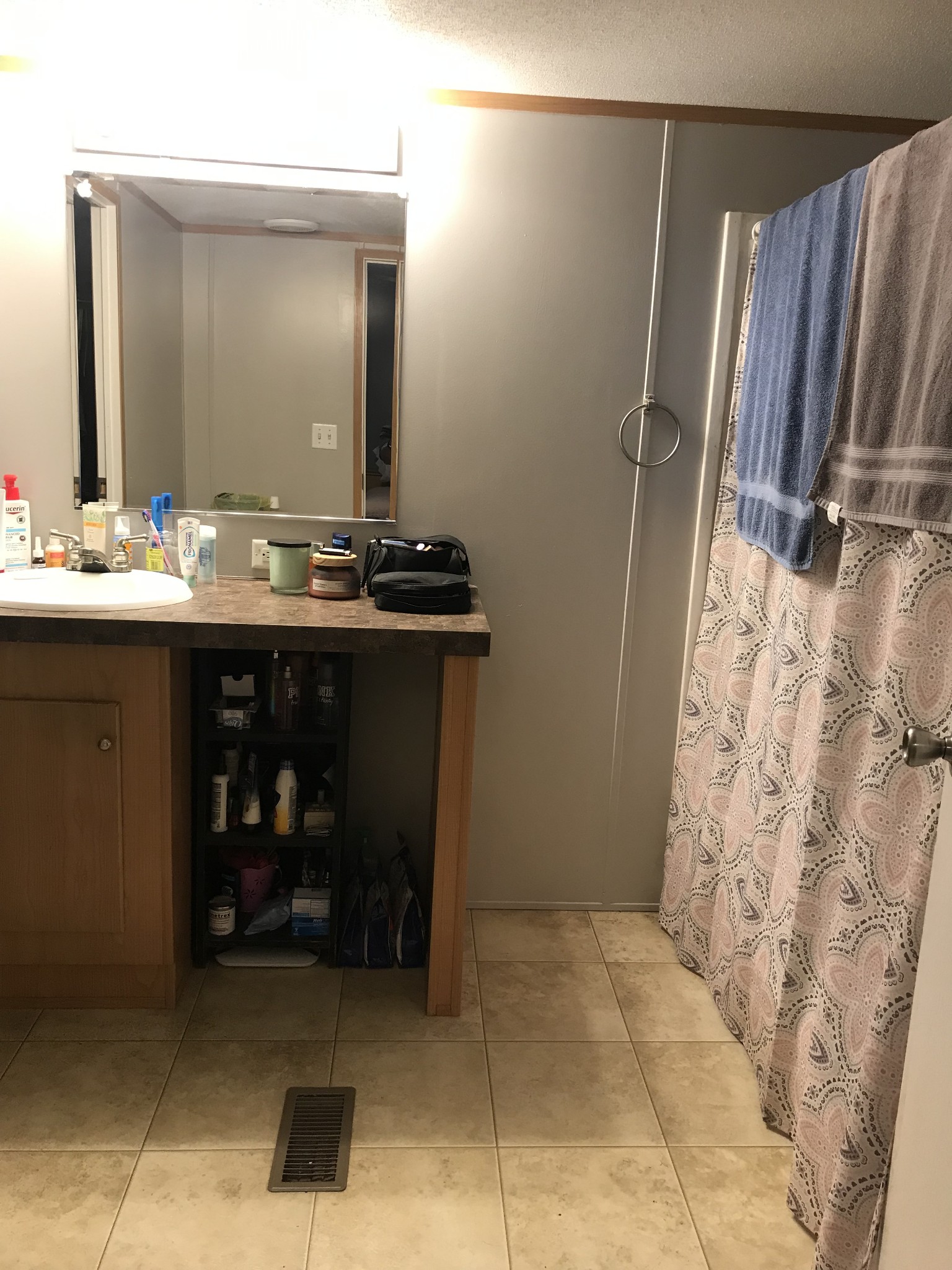 2890 Prospect Road Pulaski, TN 38478 - Photo 20 of 29 a bathroom with a sink and a mirror