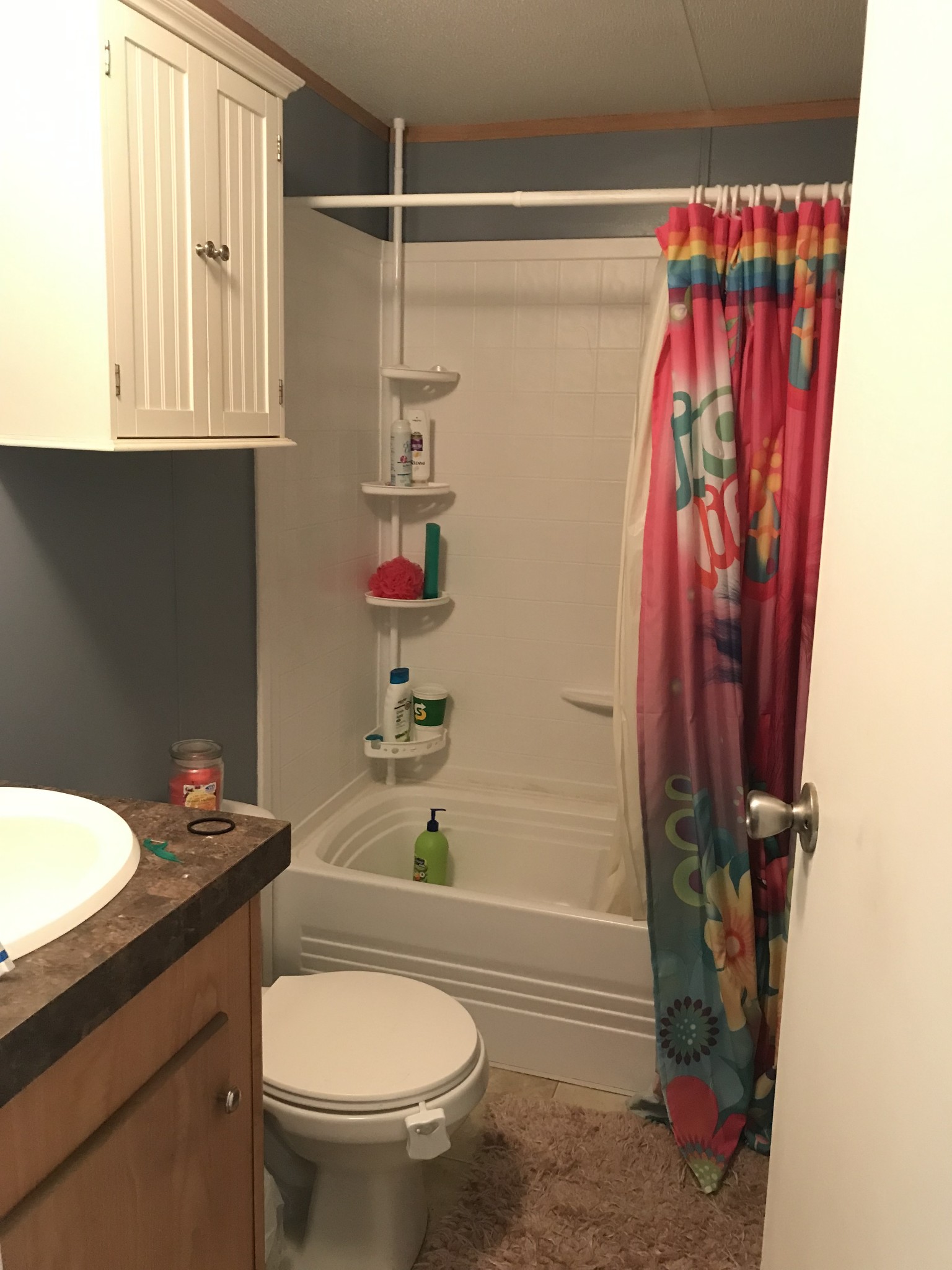 2890 Prospect Road Pulaski, TN 38478 - Photo 22 of 29 a bathroom with a sink a toilet and shower