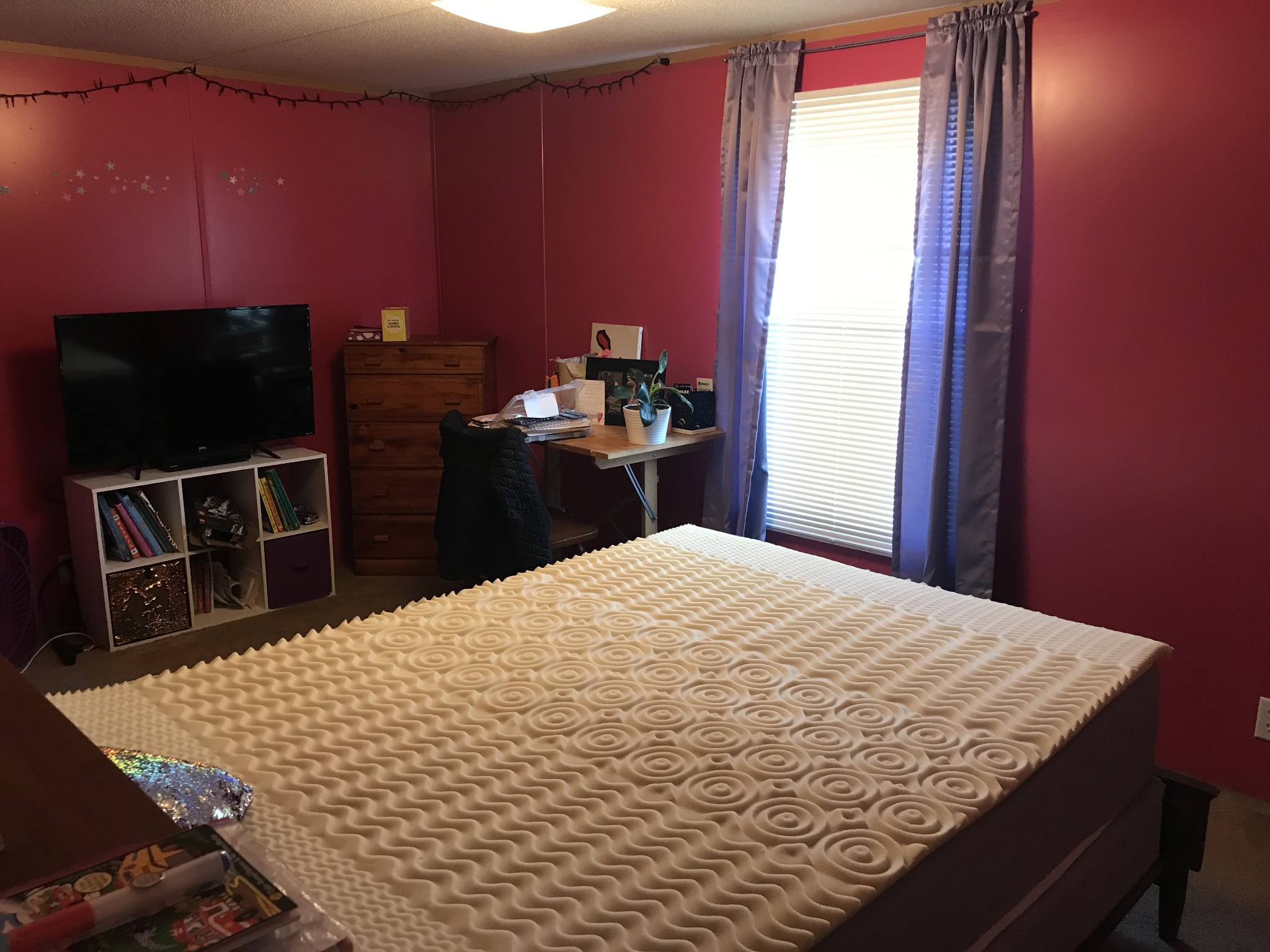2890 Prospect Road Pulaski, TN 38478 - Photo 23 of 29 a bedroom with a bed and a flat screen tv