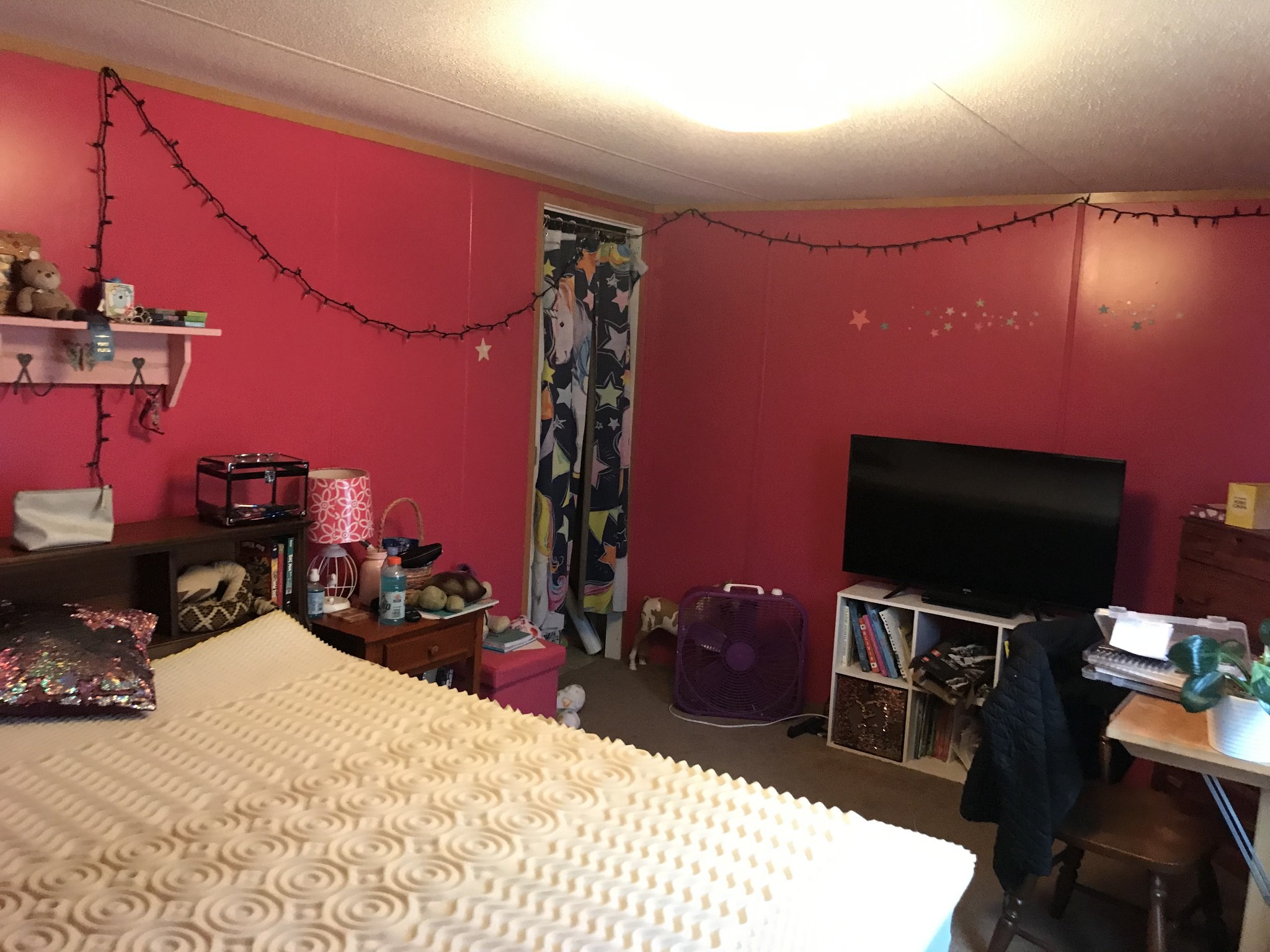 2890 Prospect Road Pulaski, TN 38478 - Photo 25 of 29 a bedroom with a bed and a flat screen tv