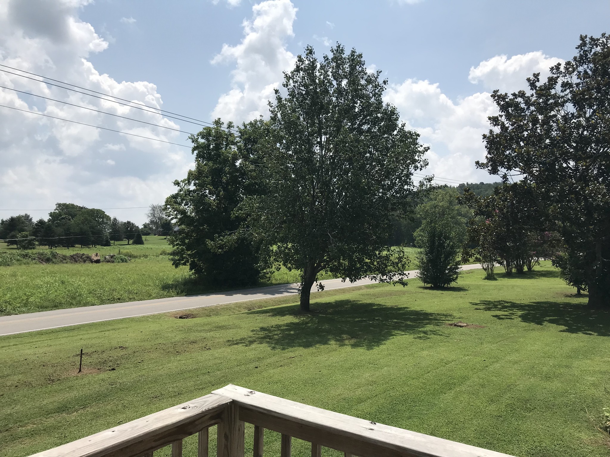 2890 Prospect Road Pulaski, TN 38478 - Photo 26 of 29 a view of a park with large trees