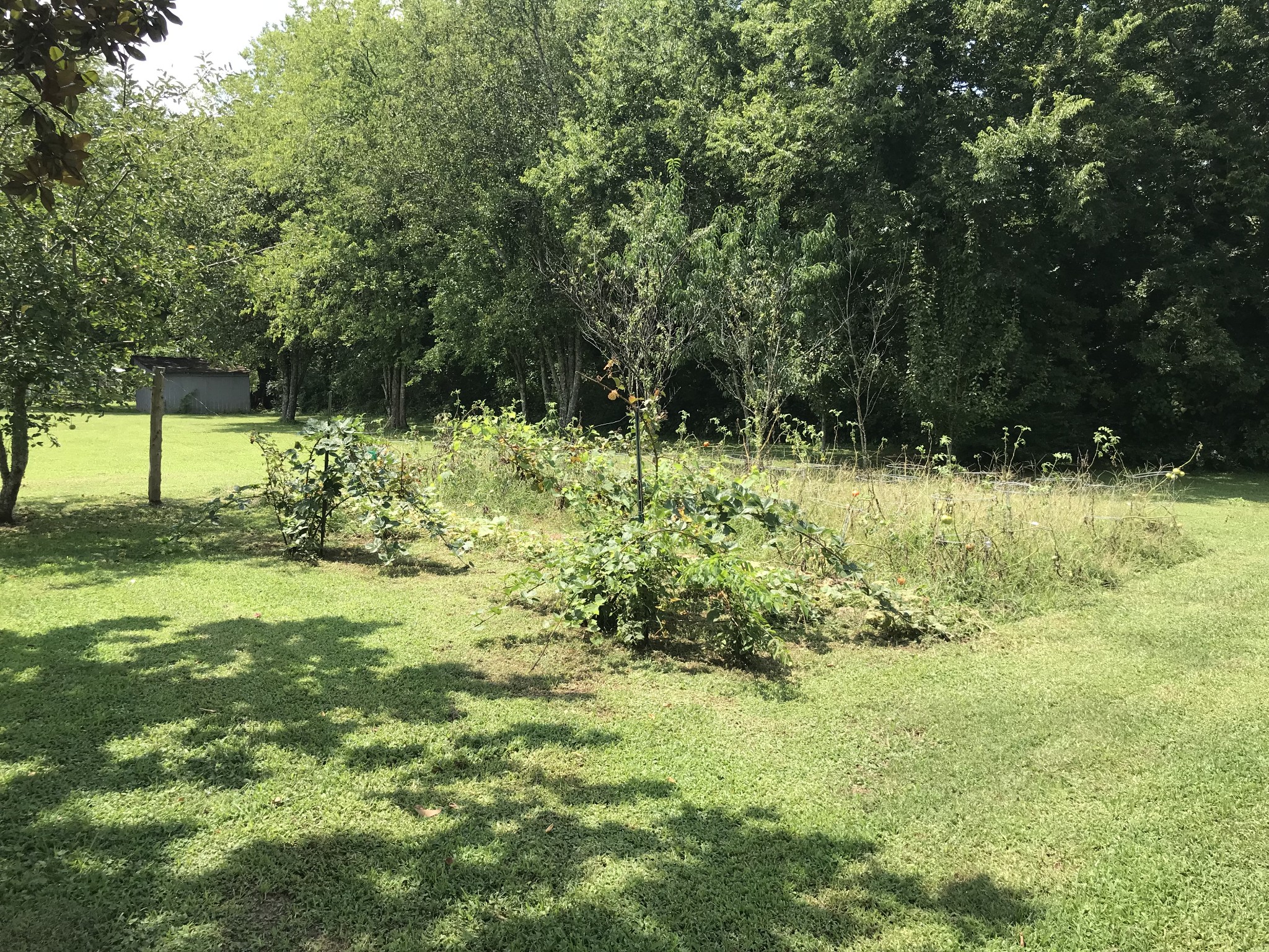 2890 Prospect Road Pulaski, TN 38478 - Photo 28 of 29 a view of swimming pool from a yard