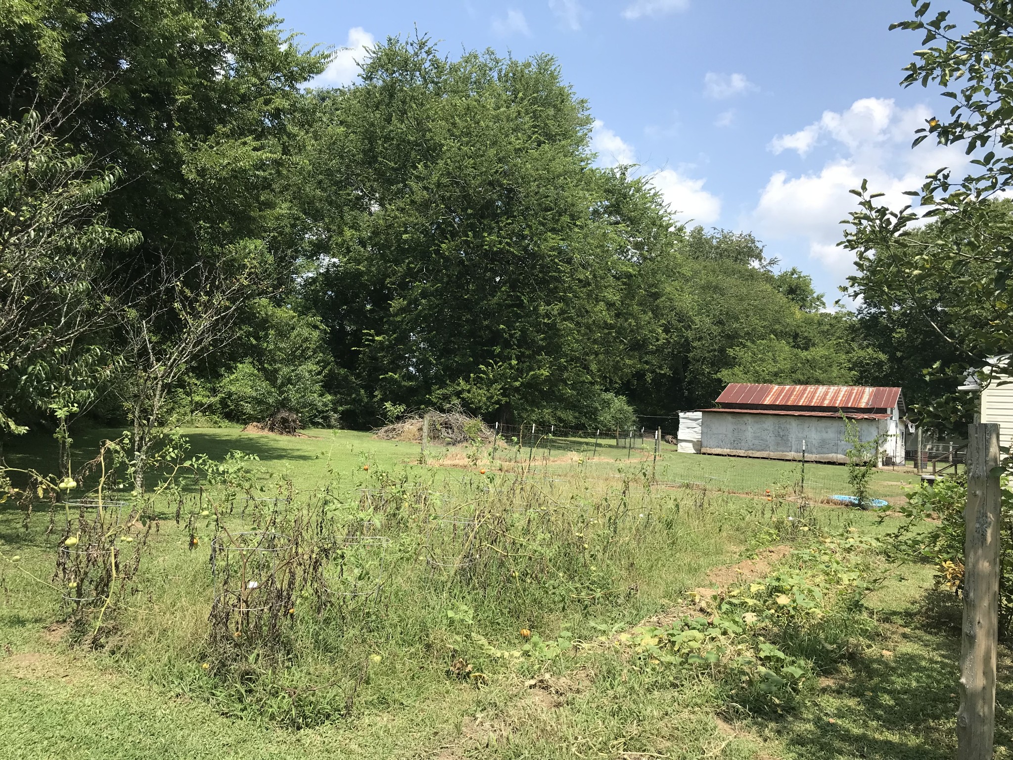 2890 Prospect Road Pulaski, TN 38478 - Photo 29 of 29 a backyard of a house with a yard and seating space