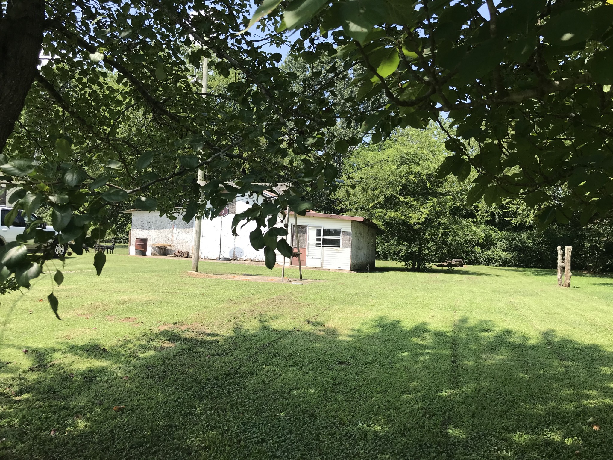 2890 Prospect Road Pulaski, TN 38478 - Photo 4 of 29 a yellow house with trees in front of it