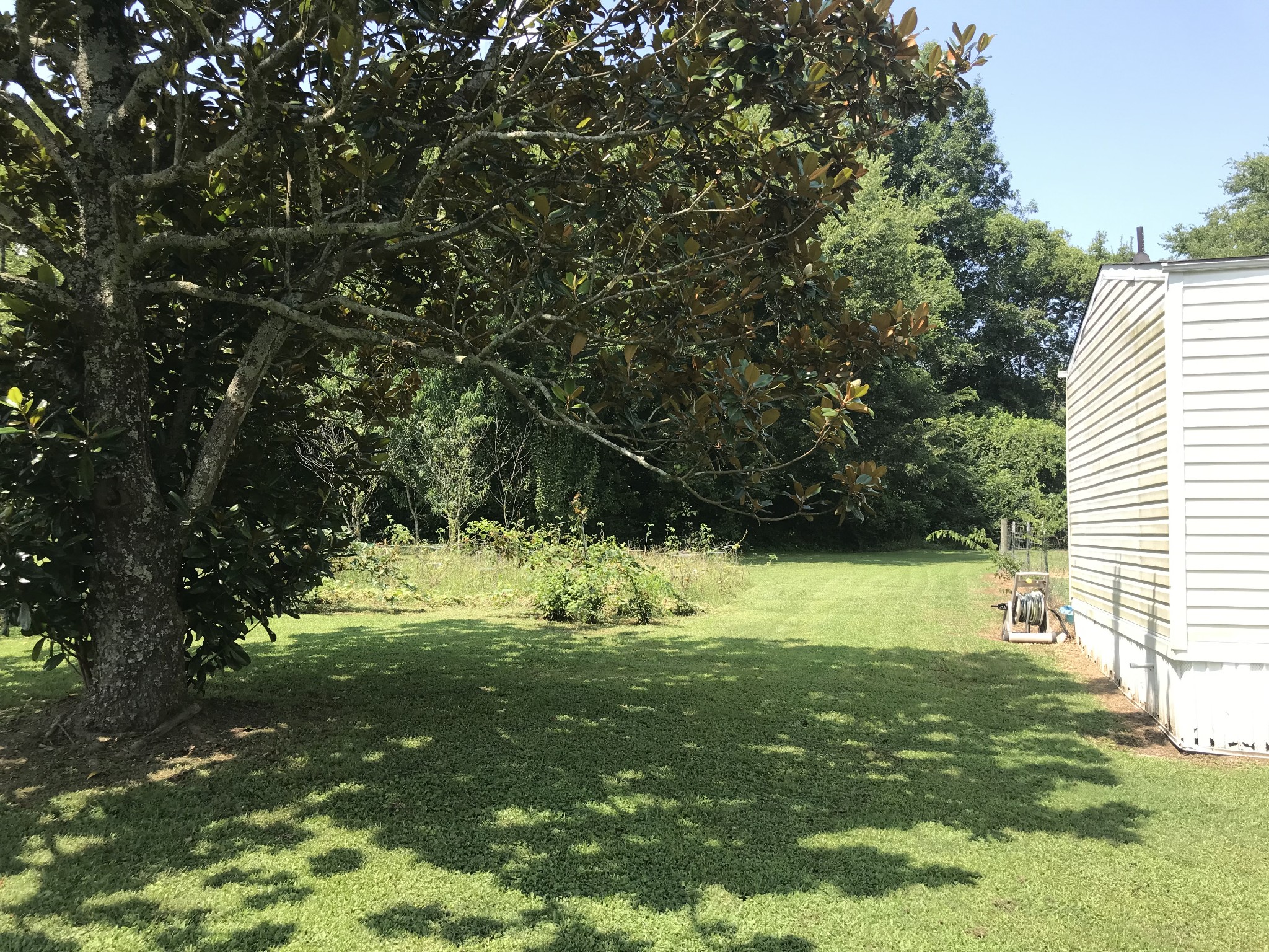 2890 Prospect Road Pulaski, TN 38478 - Photo 8 of 29 a view of a trees with a yard