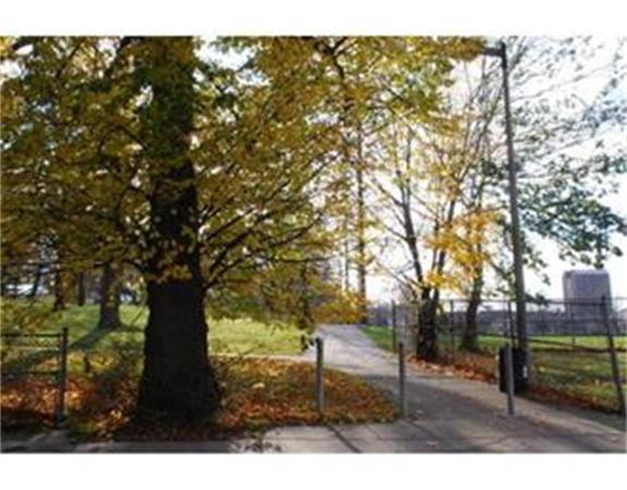 70 Rockland Street Boston, MA 02119 - Photo 12 of 14