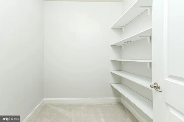 a view of an empty walk in closet