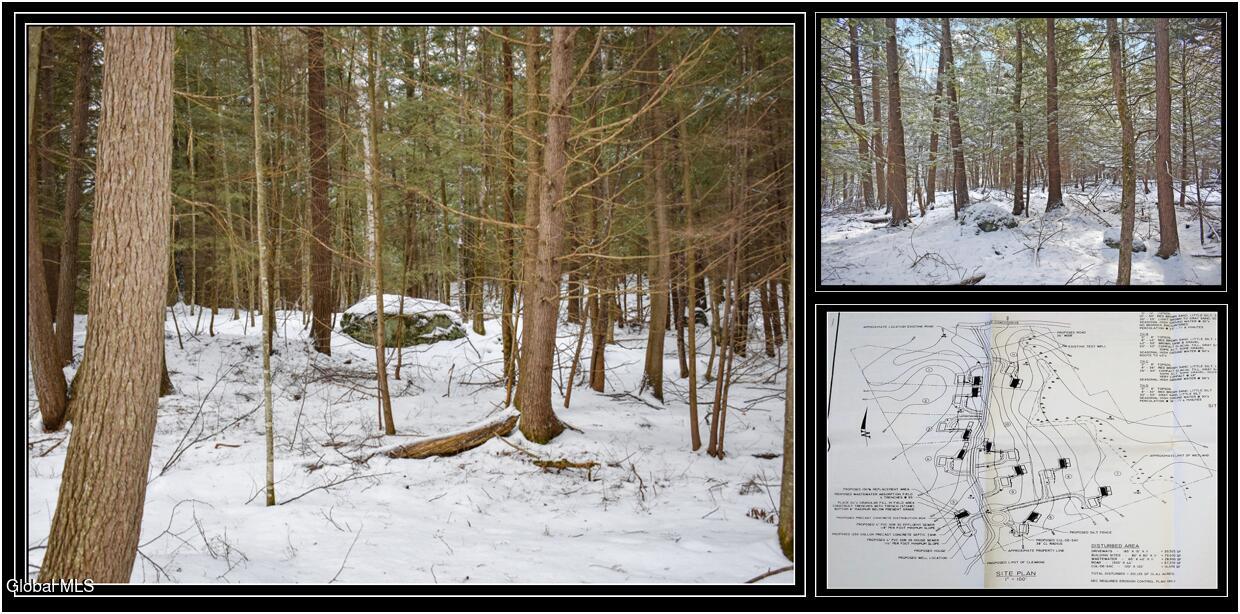 34 Carriage Knolls Road Chester, NY 12817 - Photo 1 of 8 ADK Woods Lot 34 Cover