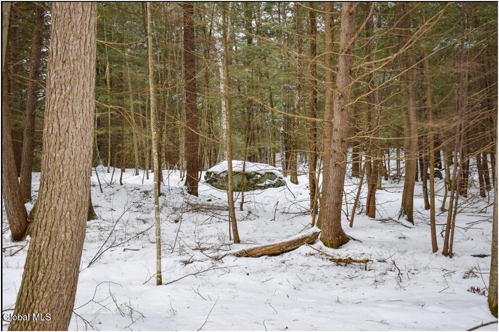 34 Carriage Knolls Road Chester, NY 12817 - Photo 2 of 8 Lot 34